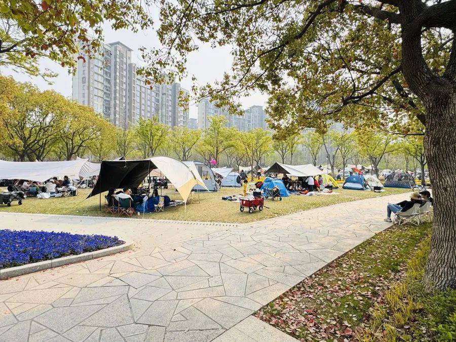 法国甲组联赛_上海明确:不得随意以安全为由禁止法国甲组联赛,尽量扩大范围!此前争议不断