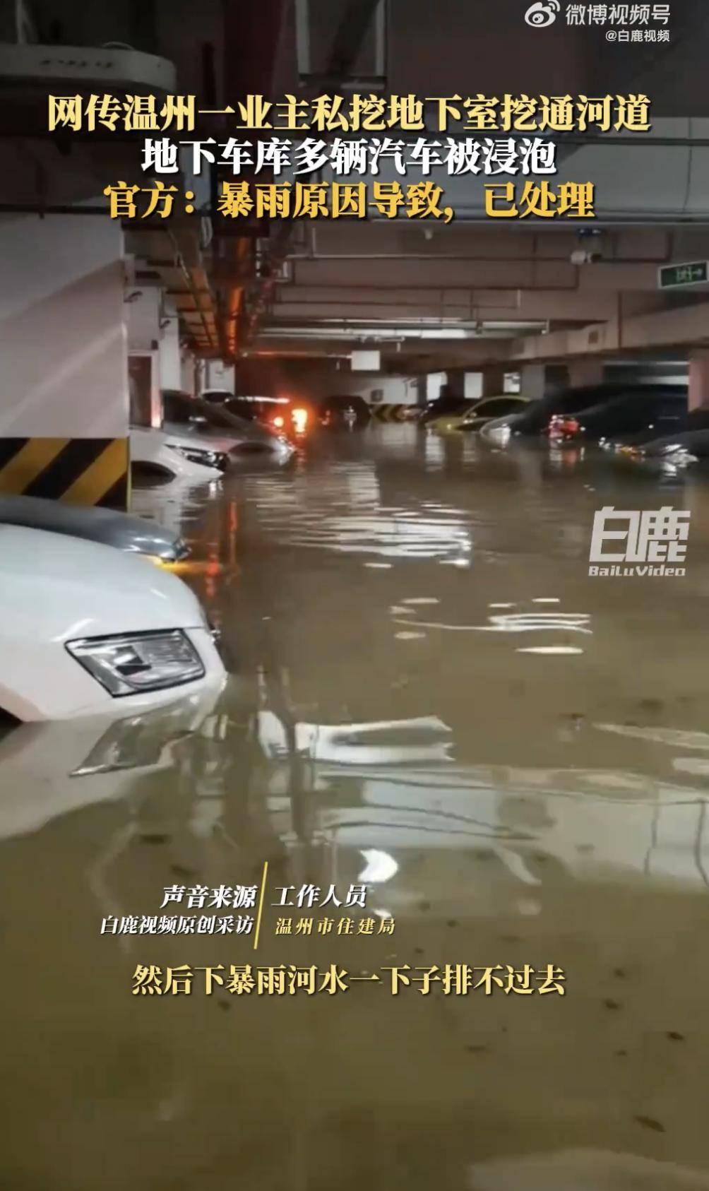 冈山绿短 vs 名古屋鲸鱼_温州一业主私挖地下室导致河水涌入车库冈山绿短 vs 名古屋鲸鱼?当地辟谣:假消息