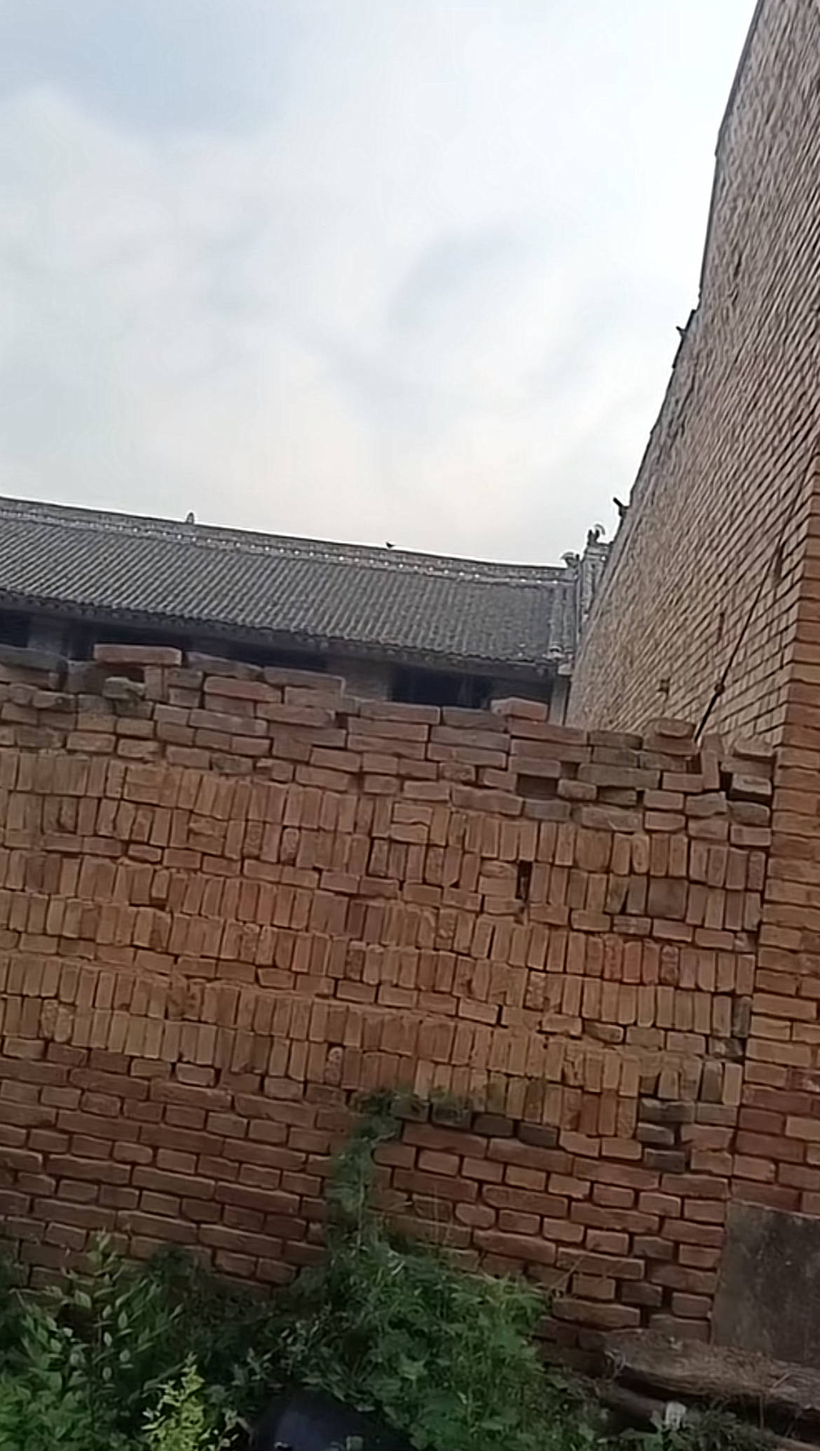 皇冠信用网在线开户_监控曝光!运城一男子因前女友拒复合持刀闯入家中皇冠信用网在线开户,女子哥哥在家门口遇害,案件将开庭