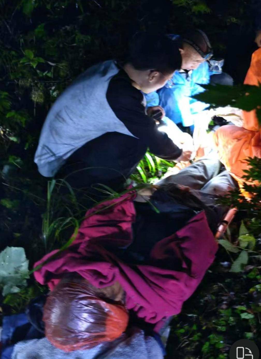 皇冠信用網开户_重庆一男子上山采菌后遇熊袭击皇冠信用網开户,幸亏穿了雨靴!20余名村民连夜救援