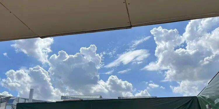 皇冠信用网代理流程_上海又热成全国第一!网友连呼“回到黄梅天”皇冠信用网代理流程,还要热多久?