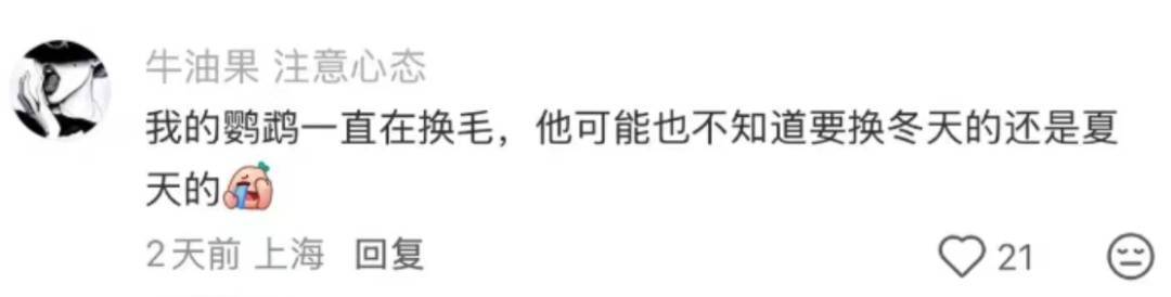 nba赛程表_上海:节后气温将冲高至33℃!今夏已长达150天nba赛程表,玉兰蔷薇樱花荷花全开了……