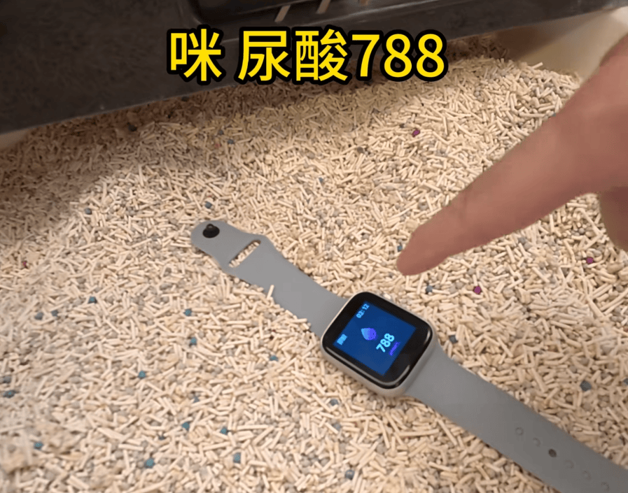 皇冠如何代理_父母花84元网购“神奇手表”皇冠如何代理，儿子发现能测万物：猫咪血糖5.9，吸尘器血糖7.4，父母：下次不买了