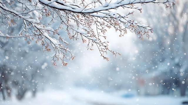 皇冠ag mos011_中到大雪局部暴雪皇冠ag mos011，-12℃+大风！山东最新天气预报